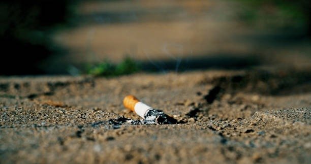 Burnt cigarette butt symbolizing tobacco regulation in Canada