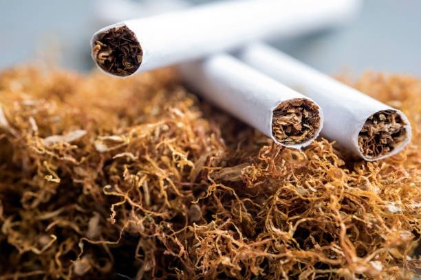 Stack of tobacco and cigarettes representing Canadian tobacco production
